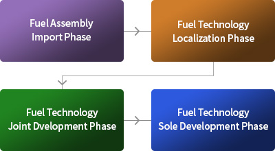 Consulting on Nuclear Plant System and Fuel Technology Localization